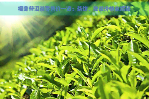 福鼎普洱茶零售价一览：茶饼、散茶价格全揭秘