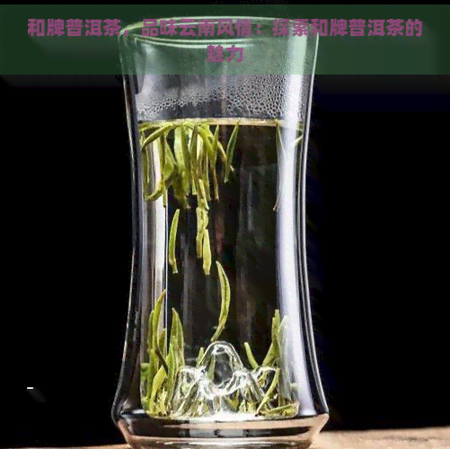 和牌普洱茶，品味云南风情：探索和牌普洱茶的魅力