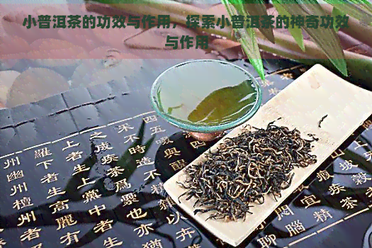 小普洱茶的功效与作用，探索小普洱茶的神奇功效与作用