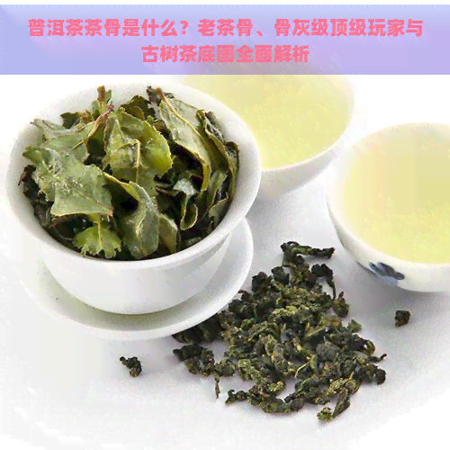 普洱茶茶骨是什么？老茶骨、骨灰级顶级玩家与古树茶底图全面解析