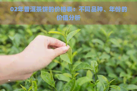 02年普洱茶饼的价格表：不同品种、年份的价值分析