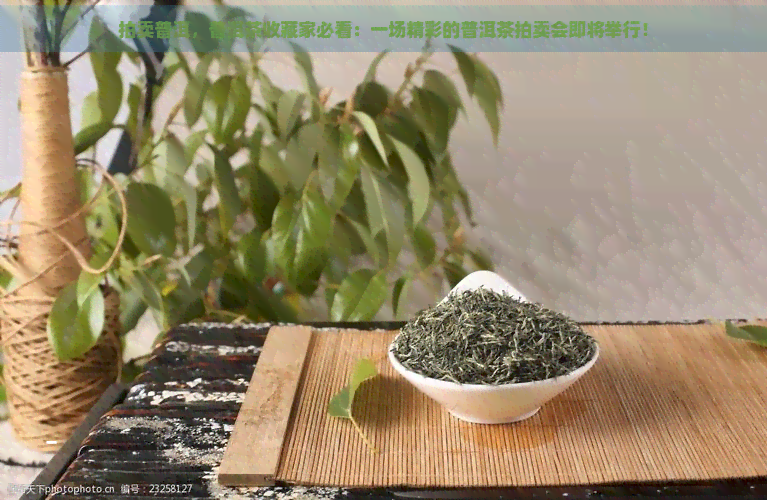 拍卖普洱，普洱茶收藏家必看：一场精彩的普洱茶拍卖会即将举行！