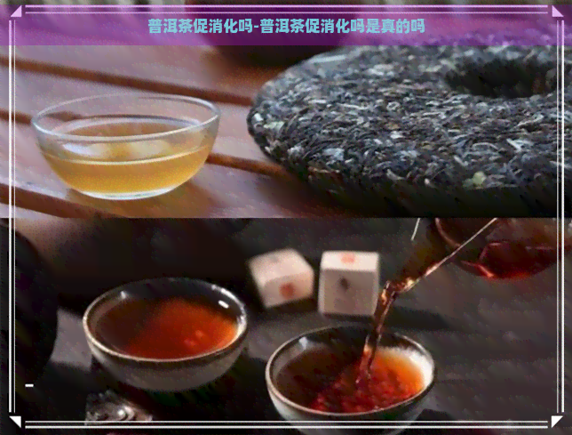 普洱茶促消化吗-普洱茶促消化吗是真的吗