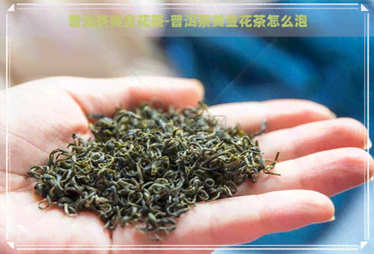 普洱茶黄金花茶-普洱茶黄金花茶怎么泡