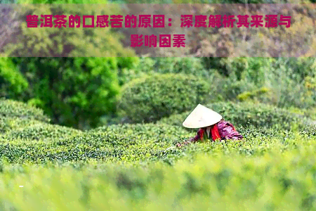 普洱茶的口感苦的原因：深度解析其来源与影响因素