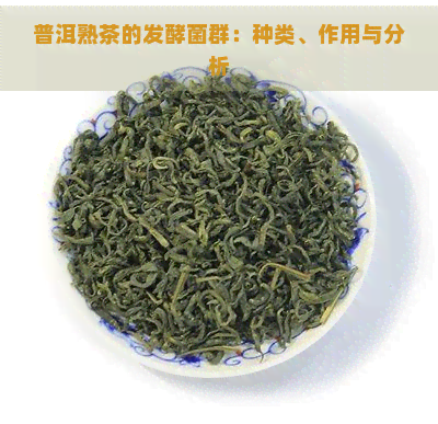 普洱熟茶的发酵菌群：种类、作用与分析