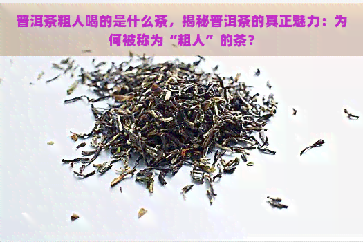 普洱茶粗人喝的是什么茶，揭秘普洱茶的真正魅力：为何被称为“粗人”的茶？