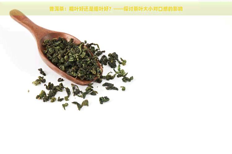 普洱茶：粗叶好还是细叶好？——探讨茶叶大小对口感的影响