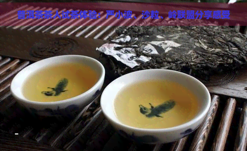 普洱茶茶人试茶体验：严小波、沙粒、岭联盟分享感受