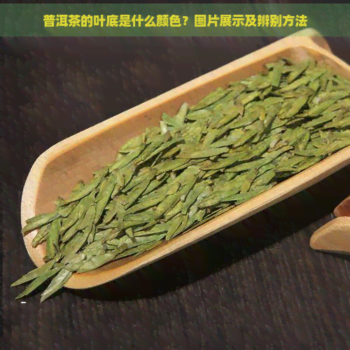 普洱茶的叶底是什么颜色？图片展示及辨别方法