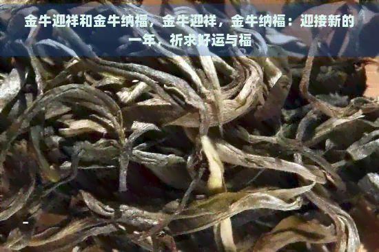 金牛迎祥和金牛纳福，金牛迎祥，金牛纳福：迎接新的一年，祈求好运与福