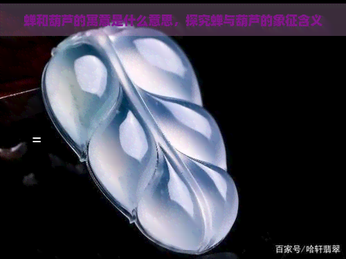 蝉和葫芦的寓意是什么意思，探究蝉与葫芦的象征含义