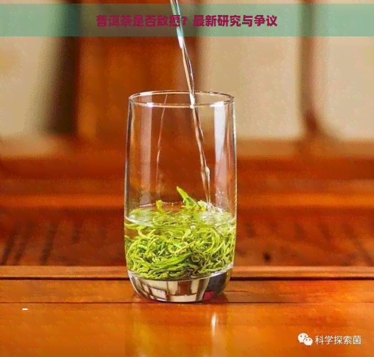 普洱茶是否致癌？最新研究与争议