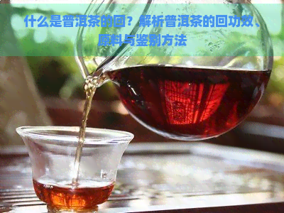 什么是普洱茶的回？解析普洱茶的回功效、原料与鉴别方法