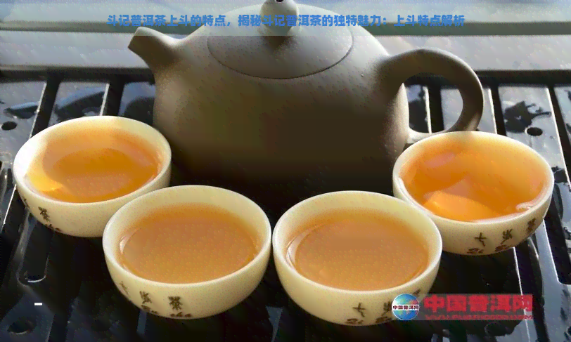 斗记普洱茶上斗的特点，揭秘斗记普洱茶的独特魅力：上斗特点解析