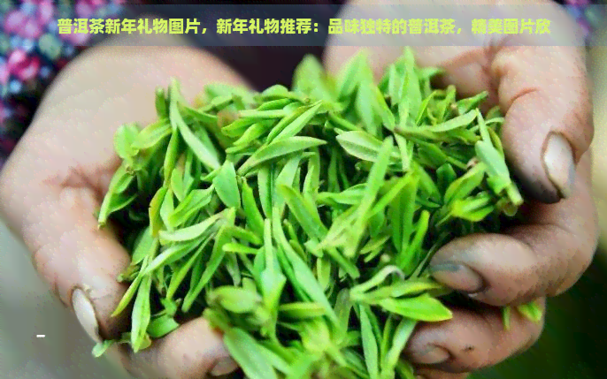 普洱茶新年礼物图片，新年礼物推荐：品味独特的普洱茶，精美图片欣