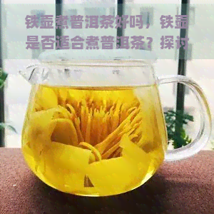 铁壶煮普洱茶好吗，铁壶是否适合煮普洱茶？探讨其优缺点与使用技巧