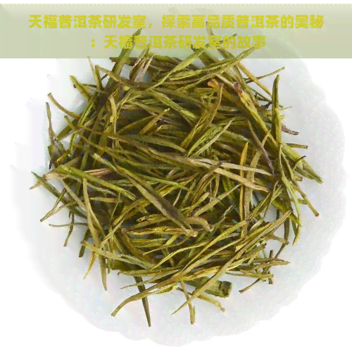 天福普洱茶研发室，探索高品质普洱茶的奥秘：天福普洱茶研发室的故事