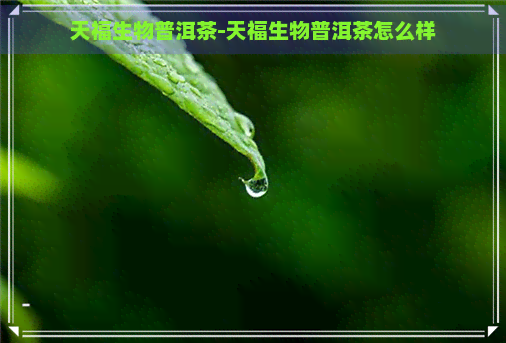 天福生物普洱茶-天福生物普洱茶怎么样