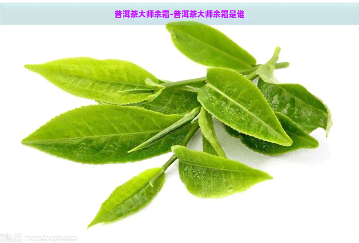 普洱茶大师余霜-普洱茶大师余霜是谁