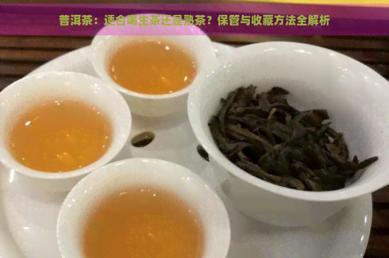 普洱茶：适合喝生茶还是熟茶？保管与收藏方法全解析