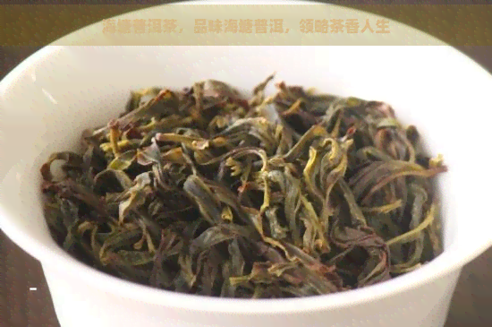 海塘普洱茶，品味海塘普洱，领略茶香人生