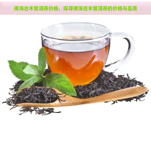 拂海古木普洱茶价格，探寻拂海古木普洱茶的价格与品质