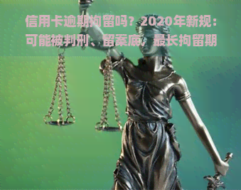 信用卡逾期拘留吗？2020年新规：可能被判刑、留案底，最长拘留期限曝光！