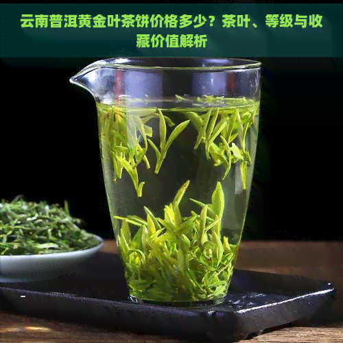 云南普洱黄金叶茶饼价格多少？茶叶、等级与收藏价值解析