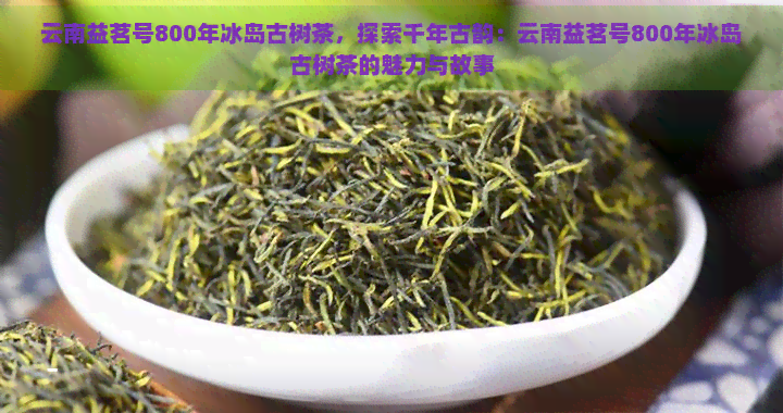 云南益茗号800年冰岛古树茶，探索千年古韵：云南益茗号800年冰岛古树茶的魅力与故事