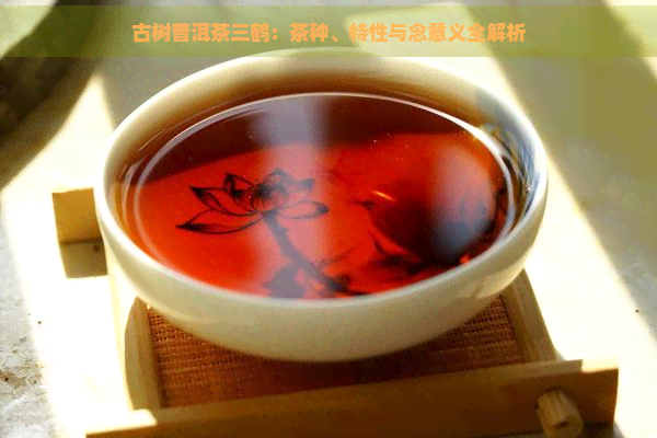 古树普洱茶三鹤：茶种、特性与念意义全解析