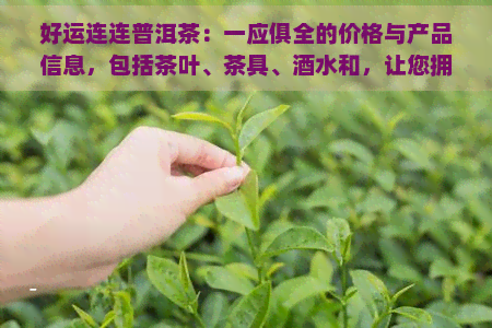 好运连连普洱茶：一应俱全的价格与产品信息，包括茶叶、茶具、酒水和，让您拥有好运连连！