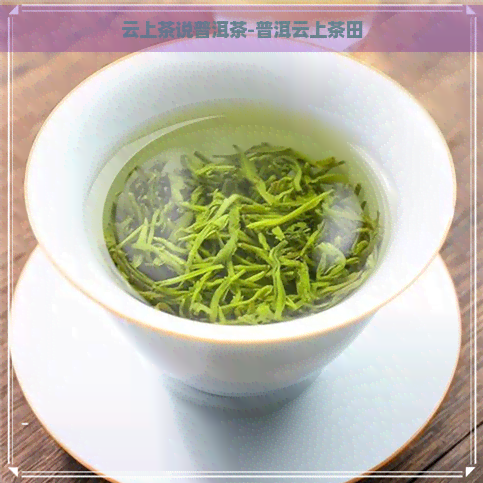 云上茶说普洱茶-普洱云上茶田