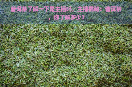 普洱茶了解一下是主播吗，主播揭秘：普洱茶，你了解多少？