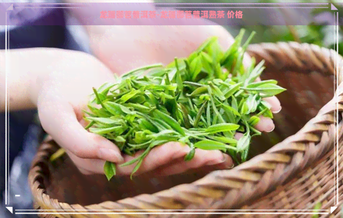 龙瑞御茗普洱茶-龙瑞御茗普洱熟茶 价格