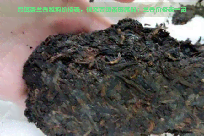 普洱茶兰香雅韵价格表，探究普洱茶的雅韵：兰香价格表一览