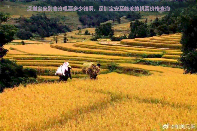 深圳宝安到临沧机票多少钱啊，深圳宝安至临沧的机票价格查询