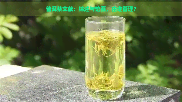 普洱茶文献：综述与馆藏，由谁管理？