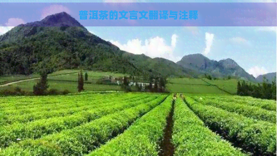 普洱茶的文言文翻译与注释