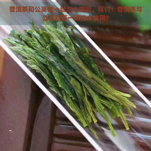 普洱茶和公英能一起泡水喝吗，探讨：普洱茶与公英能否一同泡水饮用？