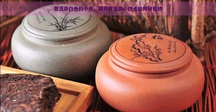 普洱茶白色的小点，揭开普洱茶小白点的神秘面纱