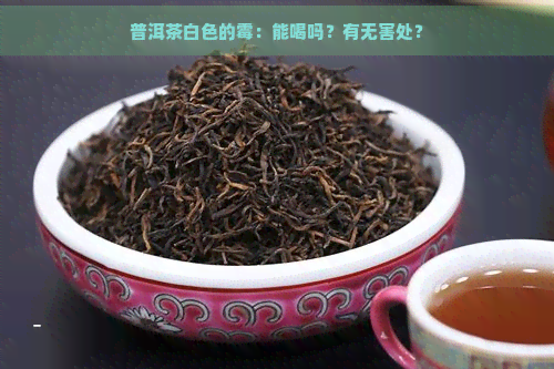 普洱茶白色的霉：能喝吗？有无害处？