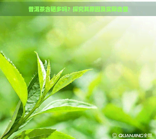 普洱茶含硒多吗？探究其原因及实际含量