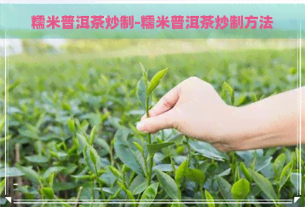 糯米普洱茶炒制-糯米普洱茶炒制方法