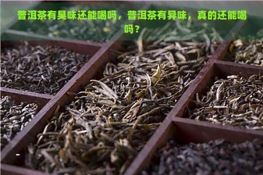 普洱茶有臭味还能喝吗，普洱茶有异味，真的还能喝吗？