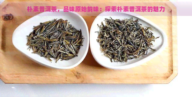 朴素普洱茶，品味原始韵味：探索朴素普洱茶的魅力