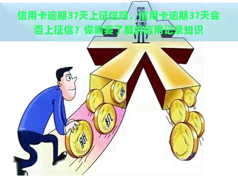 信用卡逾期37天上吗，信用卡逾期37天会否上？你需要了解的信用记录知识