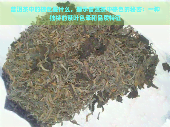 普洱茶中的棕色是什么，揭示普洱茶中棕色的秘密：一种独特的茶叶色泽和品质特征