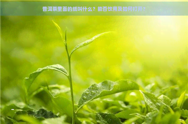 普洱茶里面的纸叫什么？能否饮用及如何打开？