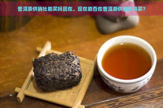 普洱茶供销社能买吗现在，现在能否在普洱茶供销社购买？